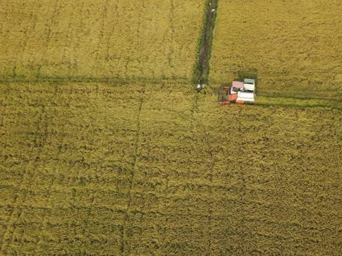 Góp ý dự thảo Văn kiện Đại hội XIV của Đảng: Khoa học, công nghệ là chìa khóa