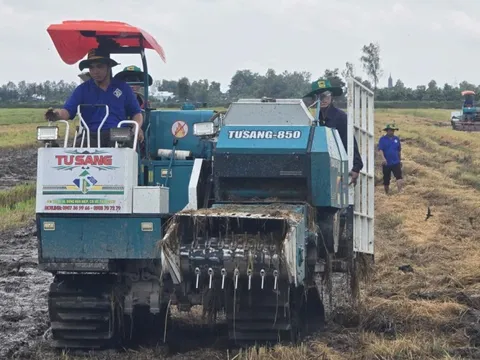 'Biến rơm rạ thành vàng': Nông dân Cần Thơ tiên phong ứng dụng công nghệ xử lý rơm bền vững