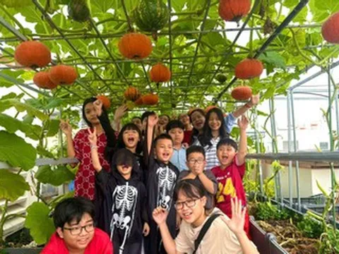 Mẹ đảm TPHCM trồng giống bí 'thần tốc', tạo góc vườn đẹp tặng con dịp Halloween