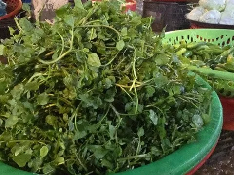 Giá nông thủy sản miền Tây: Rau xanh tăng giá vùn vụt