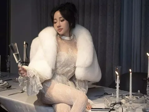 Ồn ào không hồi kết quanh chiếc túi đắt hơn cả căn nhà của Cún Bông