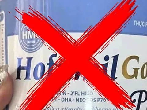 ĐBQH phân tích ‘kẽ hở’ của luật pháp khiến 600 loại sữa giả lừa người tiêu dùng