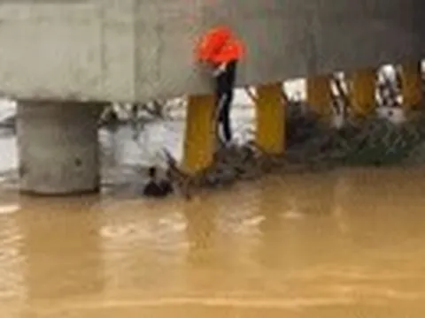 Khoảnh khắc ‘người hùng áo đen’ đu dây xuống dòng lũ dữ, cứu người bị cuốn trôi