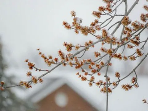 Ngày lập đông 2025 là ngày nào, cần lưu ý những gì?