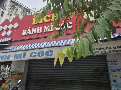 Sở Y tế TP HCM xác định nguyên nhân gây ngộ độc sau khi ăn bánh mì ở phường Hạnh Thông