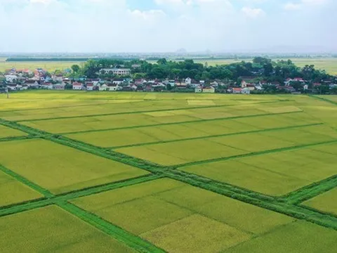 Đối tượng nào được miễn thuế sử dụng đất nông nghiệp đến hết năm 2030?