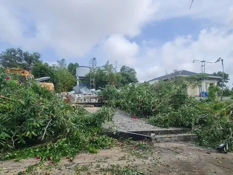 Đang cưỡng chế thu hồi hơn 66.000 m² đất lấn chiếm tại Đồi Cát Bay Mũi Né