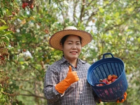 Việt Nam đã chi mức tiền kỷ lục để mua một "quốc bảo" của láng giềng