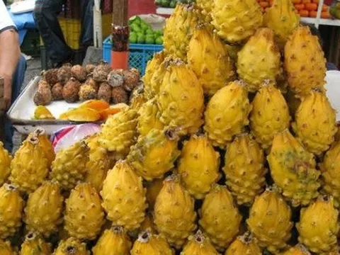 Việt Nam sở hữu 'siêu trái cây' khiến người Trung Quốc siêu mê: xuất khẩu số 1 thế giới, diện tích trồng hơn 55.000 ha