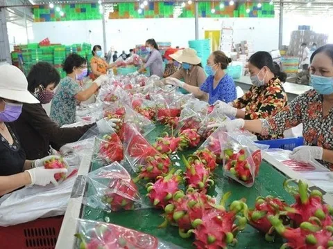 Quy định mới về truy xuất sản phẩm của Trung Quốc tác động gì tới hàng Việt?