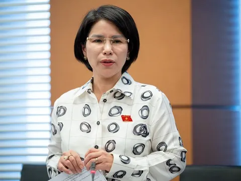 Góp ý dự thảo Văn kiện Đại hội XIV: Phát triển đa dạng các mô hình chăm sóc người cao tuổi