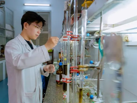 12 đại học Việt Nam vào bảng xếp hạng phát triển bền vững