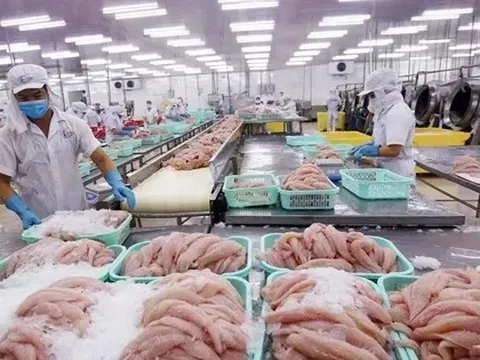 Xuất khẩu thủy sản cả năm dự báo đạt 10,5 tỷ USD