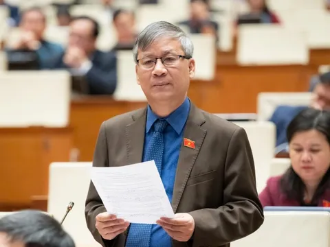 Đề xuất đưa học sinh bạo lực vào trại giáo dưỡng, lao động công ích