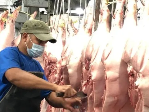 TP.HCM thí điểm sàn giao dịch thịt heo trong tháng 12
