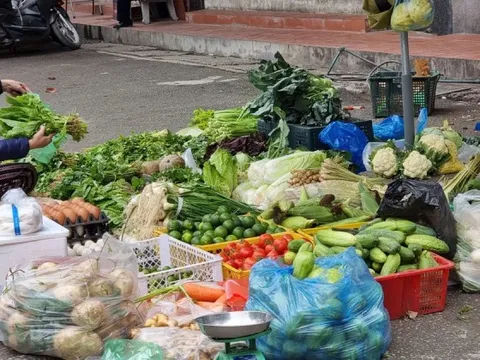 Rau củ đắt hơn thịt, người Hà Nội choáng như bị 'móc túi'