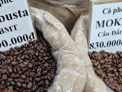 Giá cà phê hôm nay 22-11: Giảm mạnh khi Mỹ xóa thuế cho cà phê Brazil