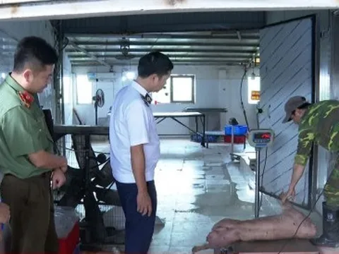 Khởi tố chủ cơ sở chăn nuôi ở Hưng Yên tuồn lợn bệnh ra thị trường