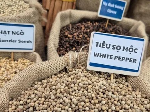 5 ngành hàng tỉ đô kiến nghị Quốc hội gỡ khó