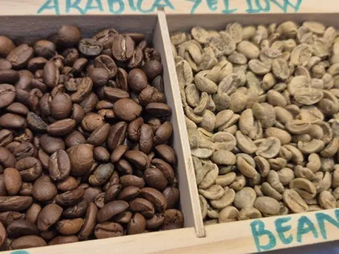 Giá cà phê hôm nay 25-11: Robusta đột ngột đi xuống, Arabica tăng mạnh