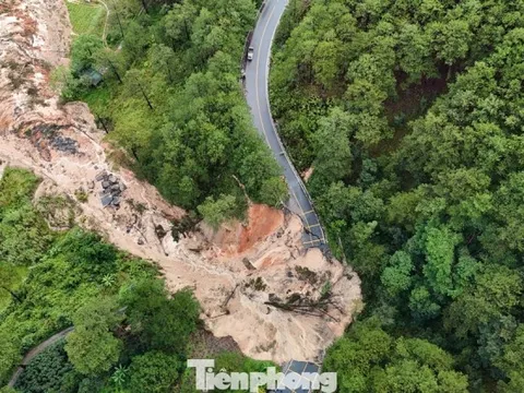 Đề xuất xây cầu vượt 30 tỷ đồng 'giải cứu' điểm sạt lở đèo Mimosa