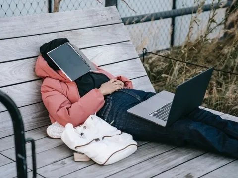 Học 7 ngành cùng lúc để làm đẹp hồ sơ tìm việc