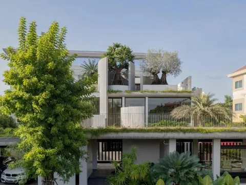 Biệt thự 3 tầng với kiến trúc mở, sống xanh giữa đô thị nhiệt đới