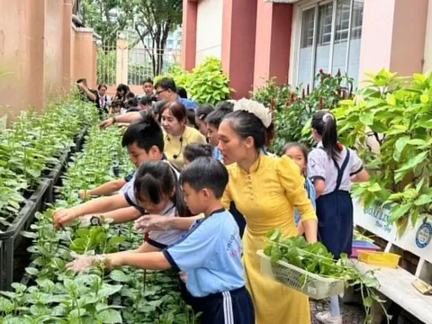 'Hoa mắt' các khoản thu học liên kết ở TP.HCM