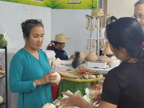 Để sản phẩm OCOP không chỉ là "hàng trưng bày" tại hội chợ