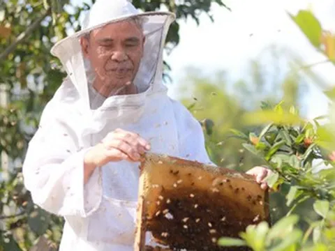 Nghị lực phi thường của người đàn ông mù loà nuôi ong giữa núi rừng Hà Tĩnh