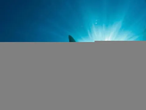 Khoa học phát hiện loài cá mập khổng lồ tồn tại trước Megalodon