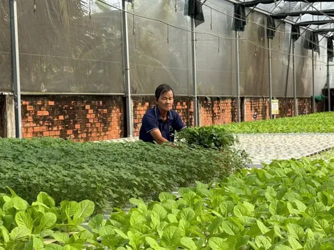 Công nghệ tưới tiết kiệm nước giải phóng sức lao động cho nông dân