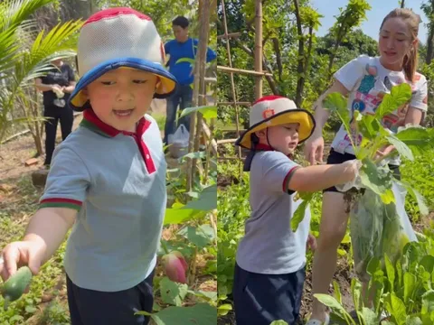 Ở biệt thự rộng 1600m2, học trường quốc tế, “tiểu thiếu gia” nhà Chi Bảo vẫn quần đùi áo thun làm vườn dù mới 3 tuổi