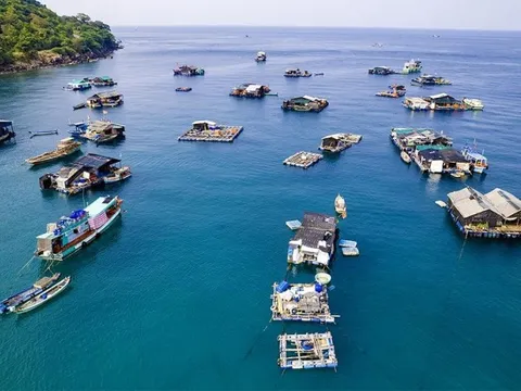 An Giang vươn ra biển lớn: Động lực tăng trưởng xanh và bền vững