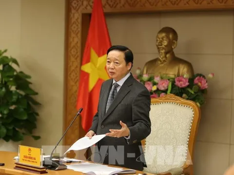 Phó Thủ tướng chỉ đạo Thanh tra Chính phủ xác suất kiểm tra về chống khai thác IUU