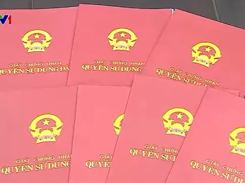 Bị mất sổ đỏ khi chưa kịp sang tên, xin cấp lại thế nào