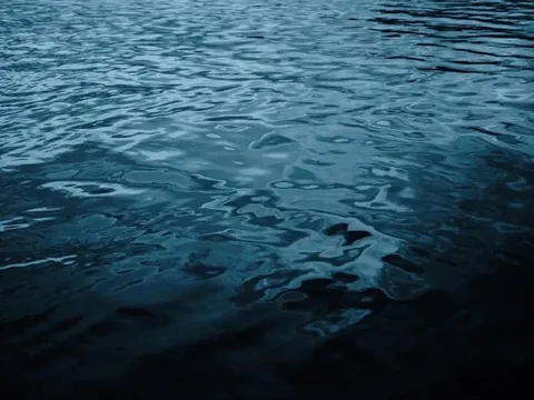 Loài sinh vật màu xanh lam nổi lên ngoài khơi Nhật Bản