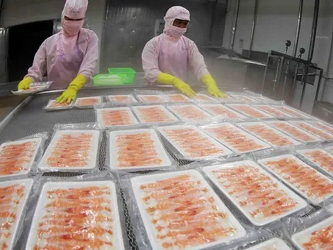 Ngành kinh tế tỷ đô của Việt Nam ghi nhận kỷ lục chưa từng có