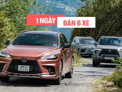 Mỗi ngày người Việt chốt 6 chiếc Lexus trong năm qua, đẩy doanh số hãng tại Việt Nam lần đầu vượt mốc 15.000