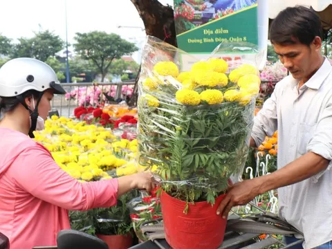 TPHCM thông báo lịch nghỉ Tết Nguyên đán Bính Ngọ năm 2026