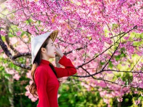 Tiết khí là gì? Ý nghĩa của 24 tiết khí trong năm