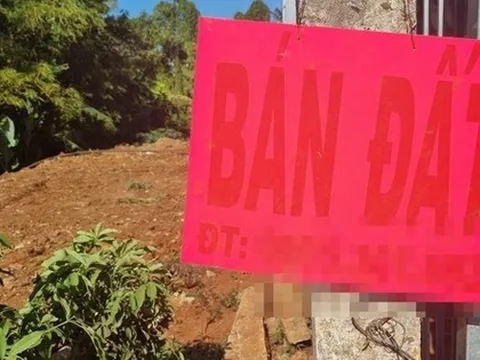 LẰN RANH: Vào tù nếu xù tiền cọc!