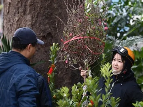 Thay cha 'đi Tết'