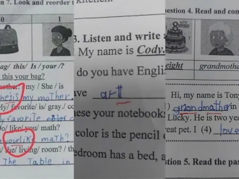 Vụ giáo viên sửa bài, hạ điểm học sinh: Lằn ranh đạo đức nghề giáo