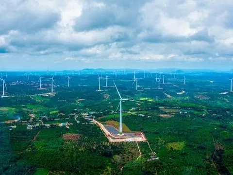 Thêm một công ty “họ” Trung Nam bị phạt 92,5 triệu đồng vì “ém” thông tin trái phiếu