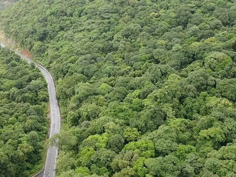 Thanh tra việc chuyển mục đích sử dụng đất rừng làm nhà máy xử lý rác Côn Đảo