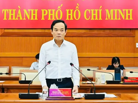 Bí thư Thành ủy TPHCM Trần Lưu Quang chủ trì họp Ban Chỉ đạo bầu cử thành phố