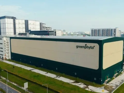 Không phải Trung Quốc hay Nhật Bản, một quốc gia châu Á làm trang trại trong nhà cao nhất thế giới: Có thể chứa 1,2 triệu cây rau, sản lượng 2.000 tấn mỗi năm