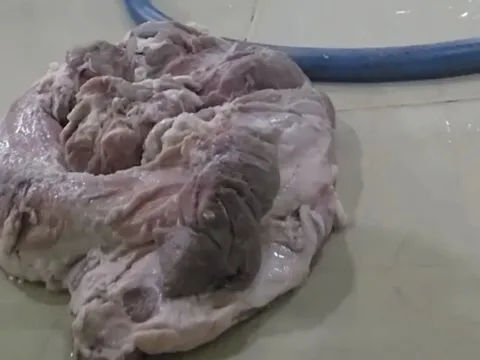 Học sinh TP.HCM phải dừng bán trú vì thực phẩm bẩn đến khi nào?