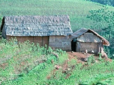 Nhớ đêm giao thừa đầu tiên ở Tây Nguyên: hàng xóm bồng bế nhau đi tá túc